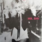 Sex and the City Essentials: Mr. Big (Sous-titres français)